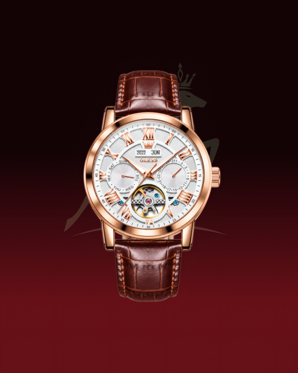 Falcon Watch