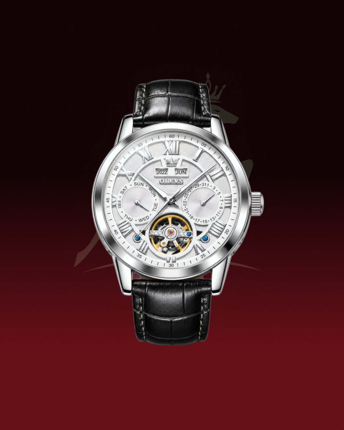 Falcon Watch