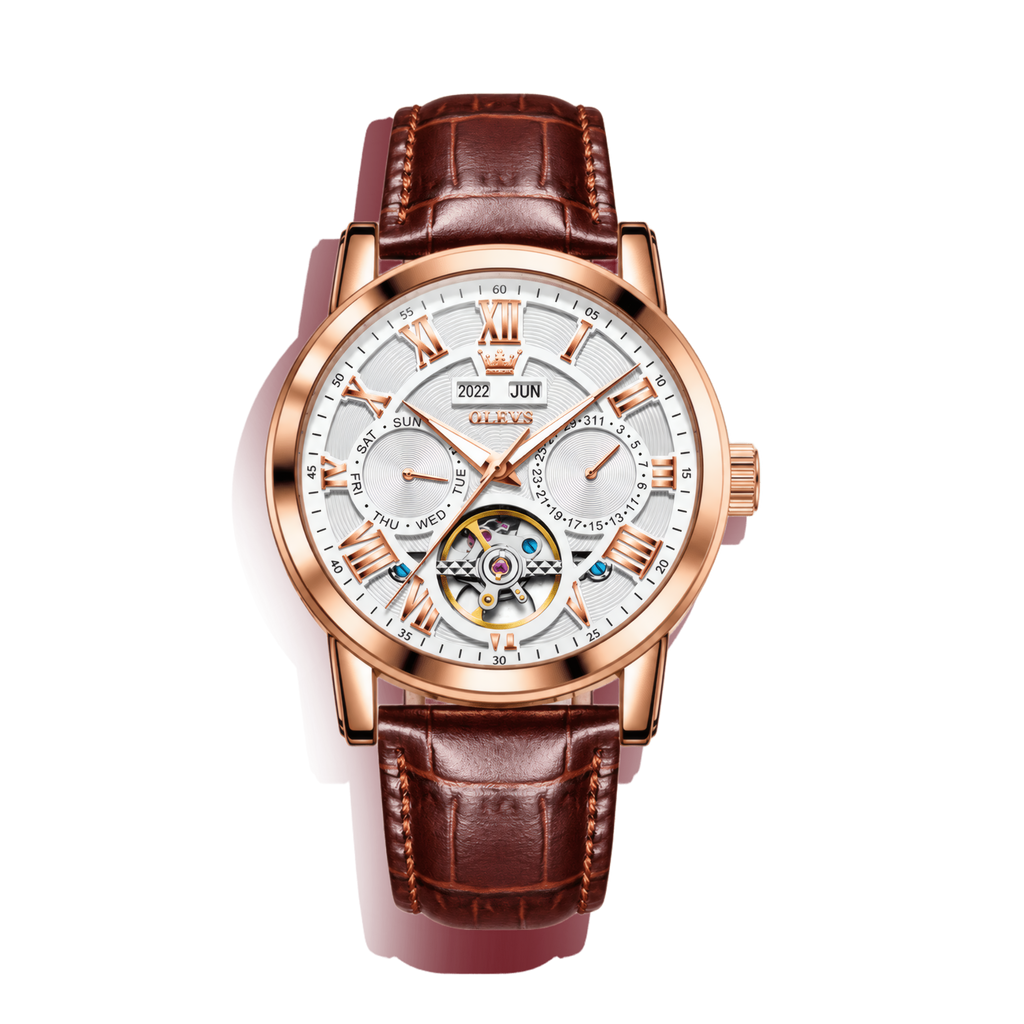 Falcon Watch
