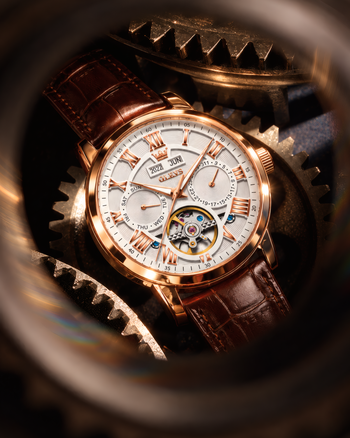 Falcon Watch